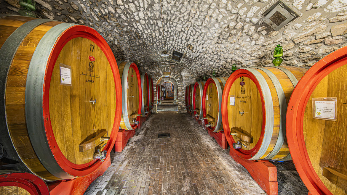 Azienda Agricola Coali Savoia