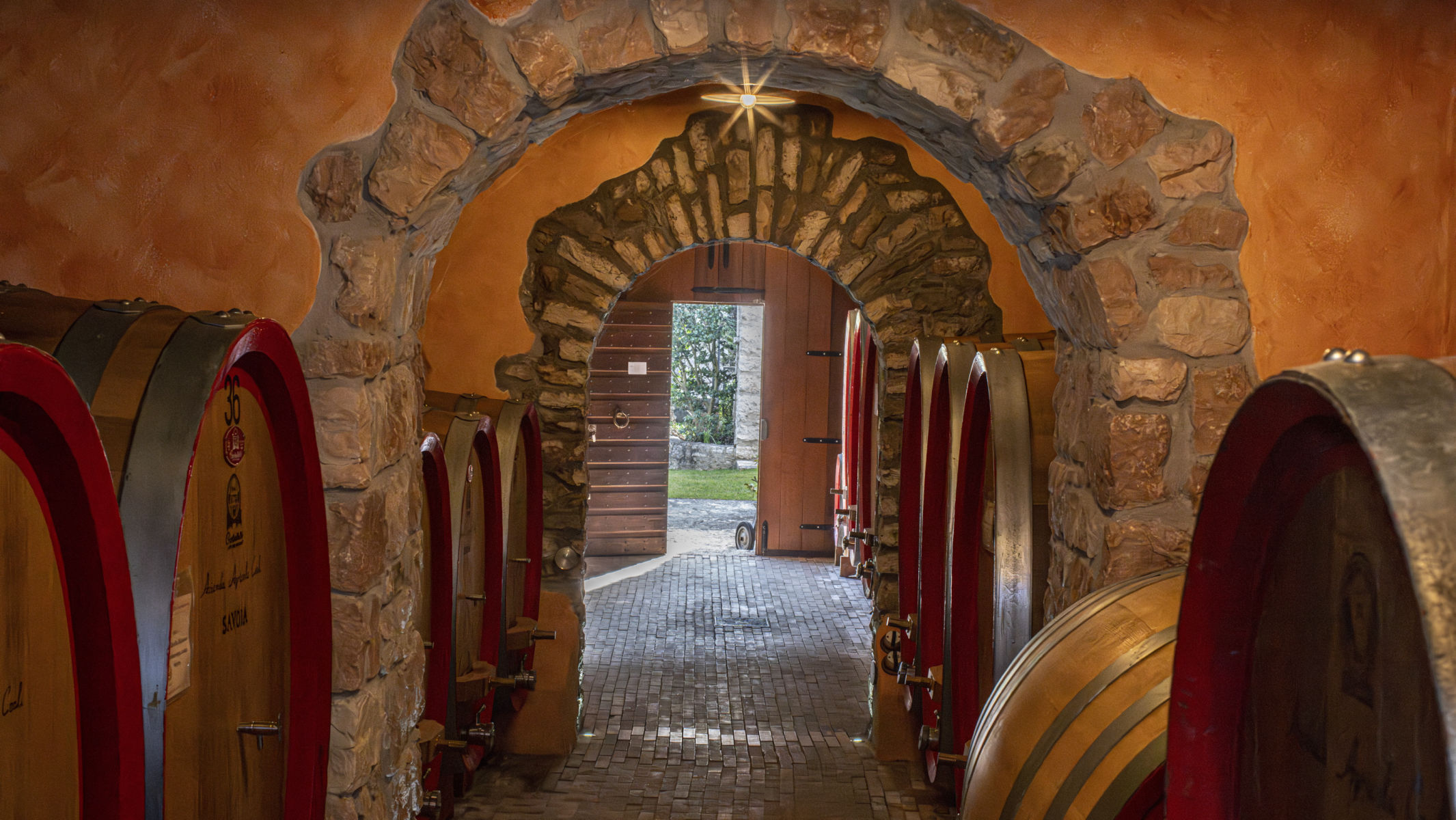 Azienda Agricola Coali - Savoia