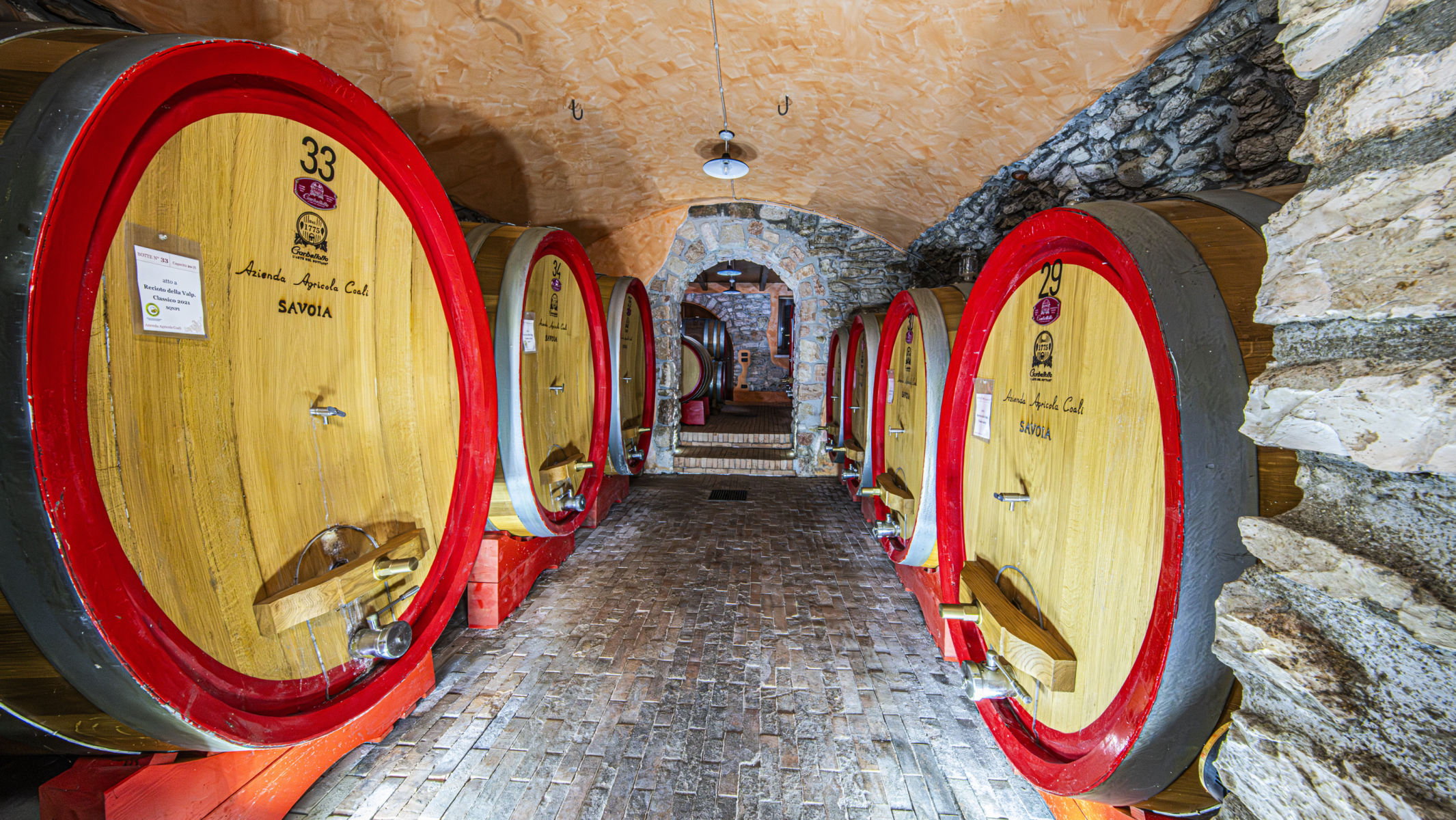 Azienda Agricola Coali - Savoia